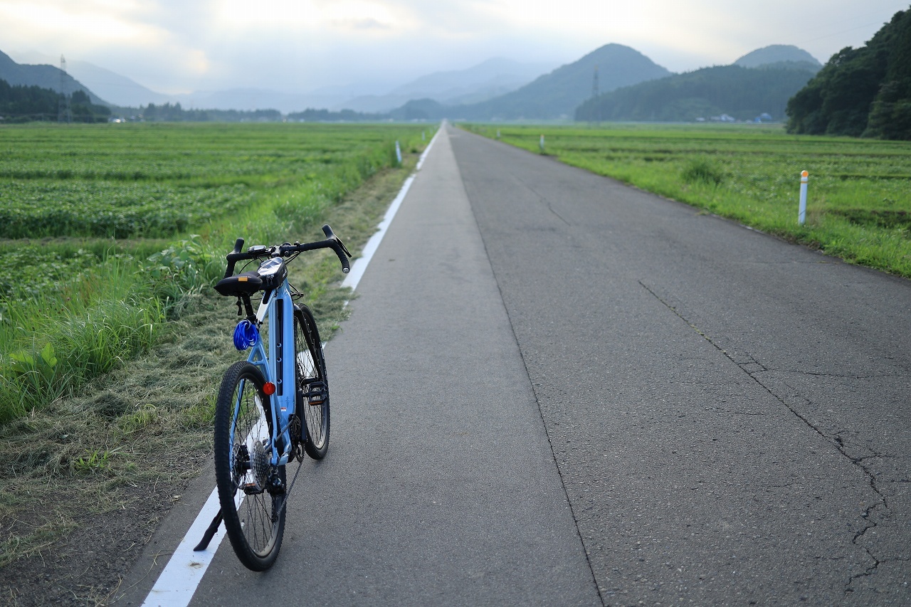 Wabash RT サイズ感（L） : お山遊び