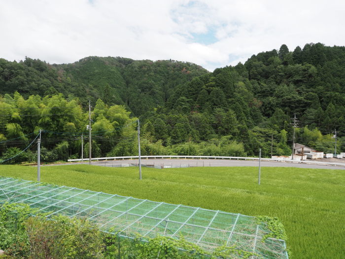 雨のち曇り時々晴れ_c0116915_23234039.jpg