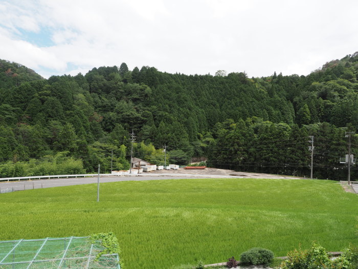 雨のち曇り時々晴れ_c0116915_23235525.jpg