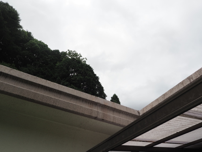 雨のち曇り時々晴れ_c0116915_23242974.jpg