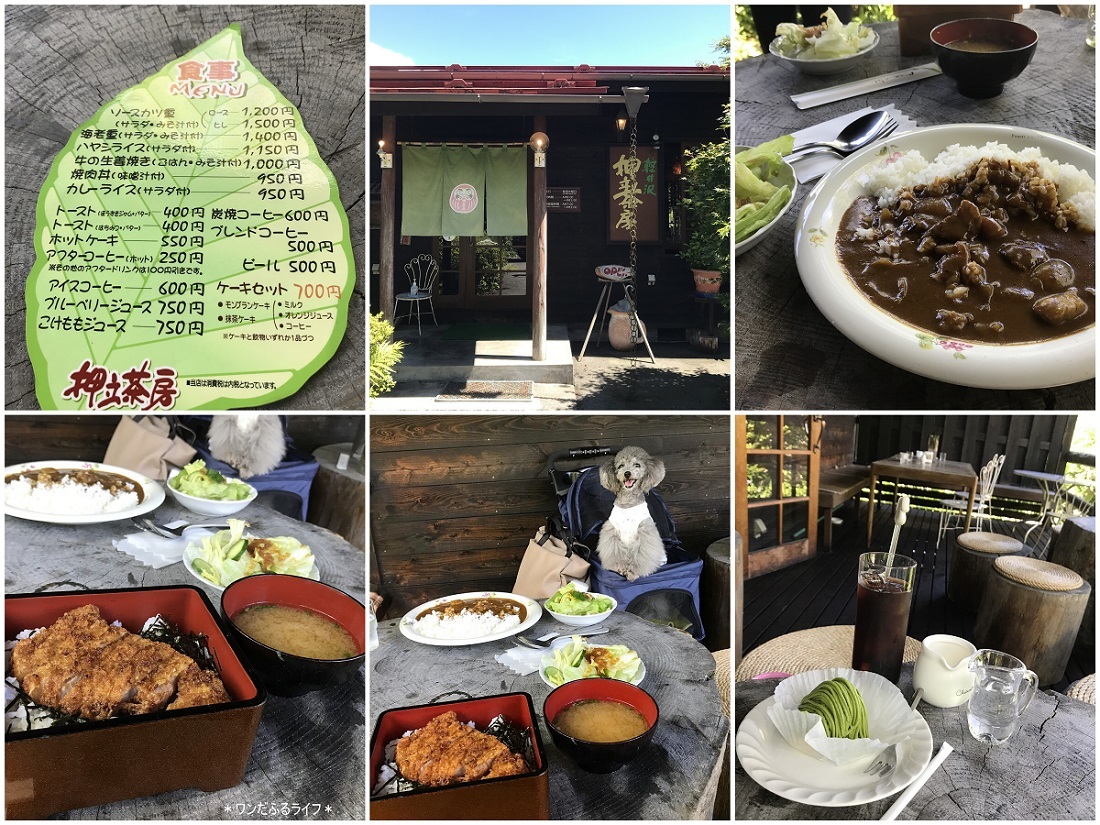 * またまたフランと軽井沢 *_d0317115_21421366.jpg