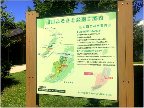 * またまたフランと軽井沢 *_d0317115_21430594.jpg