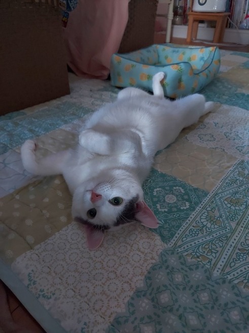 早起きしたけど_d0152937_18493339.jpg