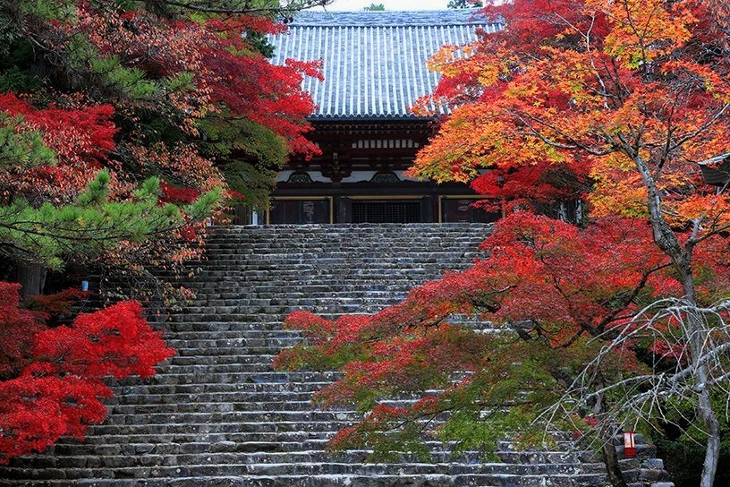 和気清麻呂と天皇 : 大江戸歴史散歩を楽しむ会