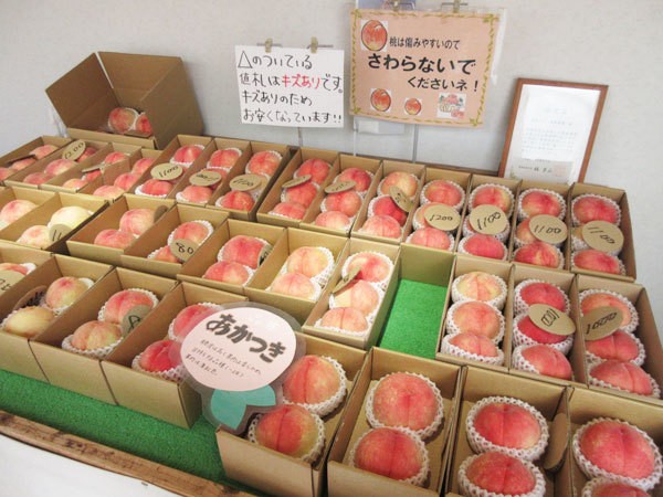【恵那市情報】馥郁農園の直売所で桃を買いました～！_c0152767_12422571.jpg
