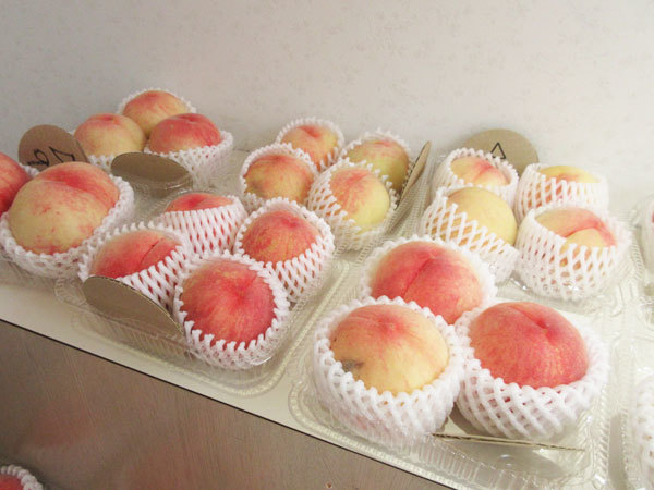 【恵那市情報】馥郁農園の直売所で桃を買いました～！_c0152767_12451055.jpg