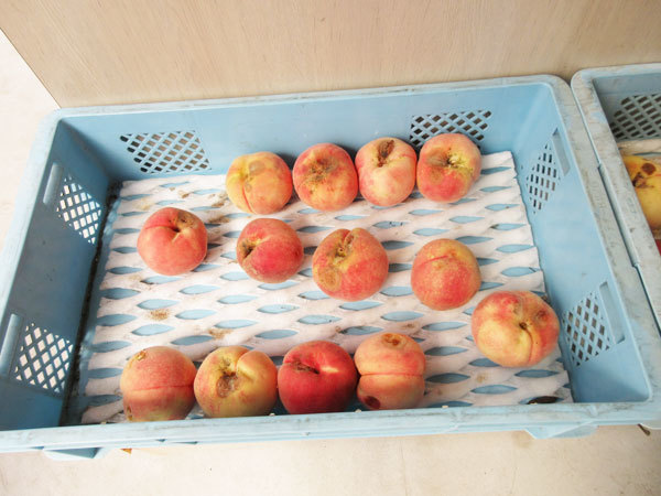 【恵那市情報】馥郁農園の直売所で桃を買いました~!_c0152767_12455963.jpg