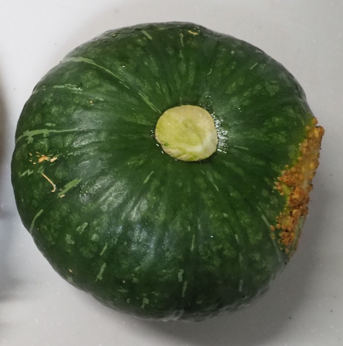 今日の収穫(カボチャも収穫)_c0116915_00134569.jpg