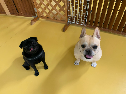 保育園ブログ_f0357682_15581894.jpg