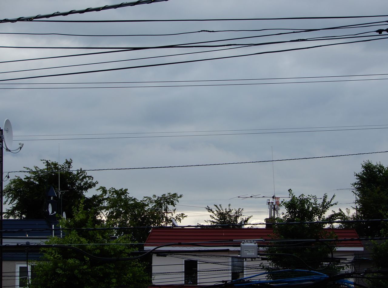 風雨から明けて_c0025115_20561043.jpg