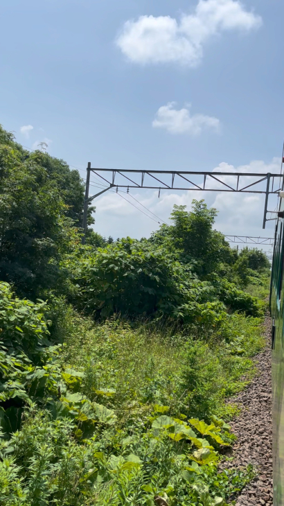 復路編【北海道-最果て】Tartaruga おんな一人 稚内 輪行ツーリングキャンプ！_d0197762_18020820.jpg