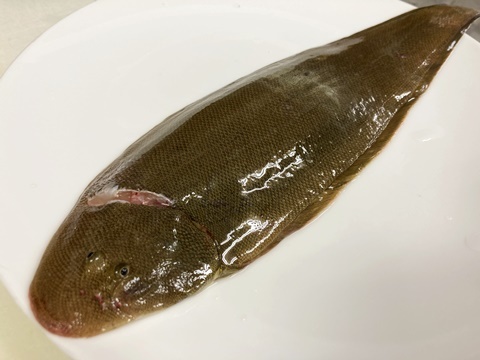 黒牛の舌