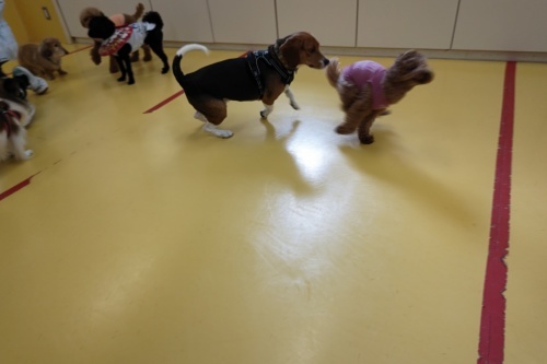 追いかけっこ!!_f0357682_13124977.jpg