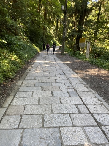 酷暑の登山_b0199487_11044916.jpeg