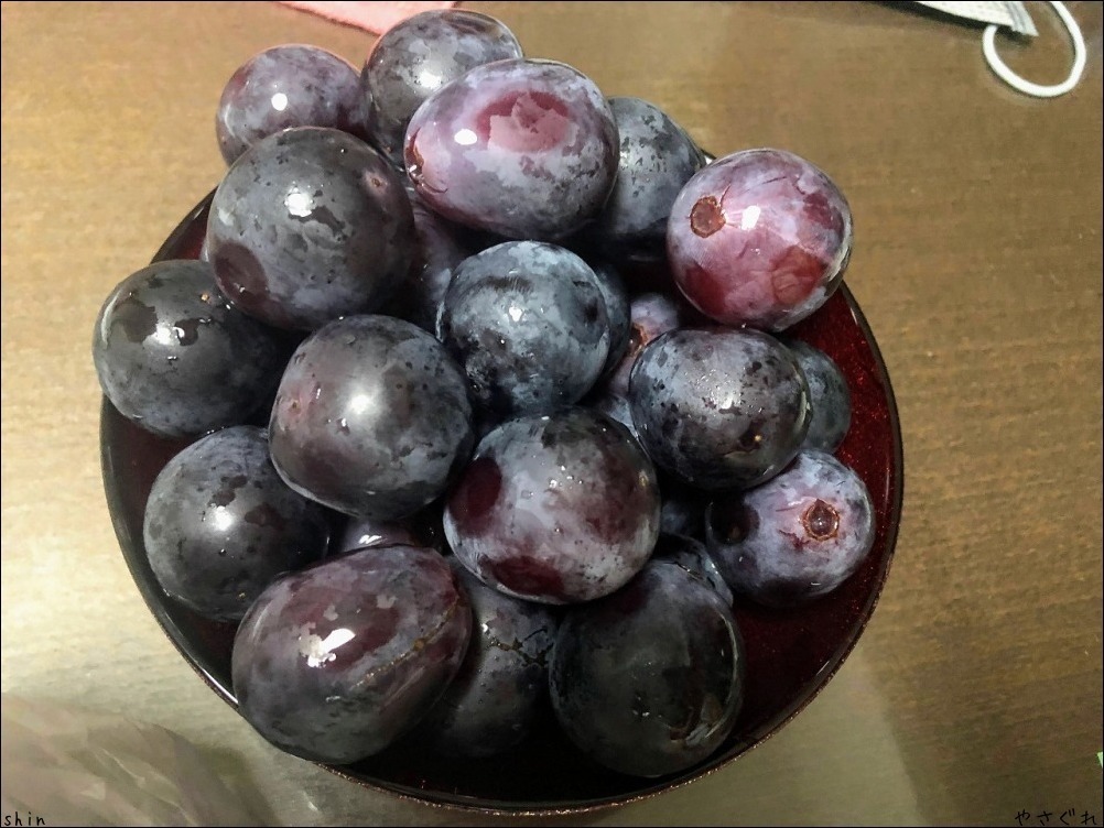 220802鶏ササミのタタキと王将の餃子_a0352827_15054326.jpg