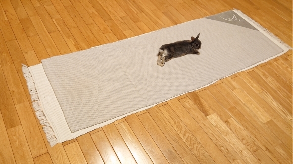 心配より信頼  ***_e0290872_21044645.jpg