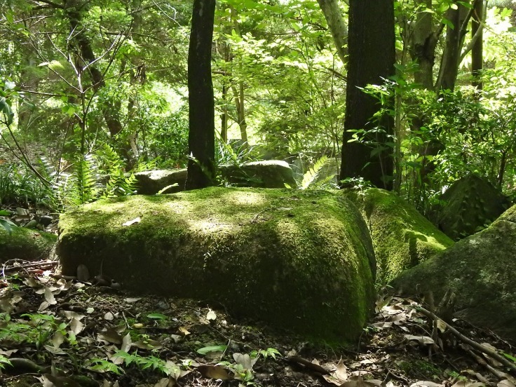 『苔生した散策路と羽黒蜻蛉(ハグロトンボ)や数珠玉(ジュズダマ)等・・・・・』_d0054276_20543625.jpg