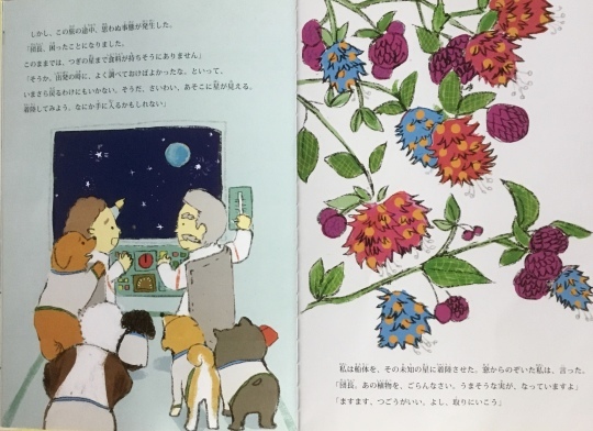飯島晴子読本 モノとしての俳句を詠みたくなる『飯島晴子読本』｜阿部八富利