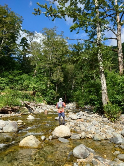 お山(今年4回目)_c0157482_09530192.jpg
