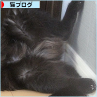 大阪の温度を猫が計る_a0389088_15025649.jpg