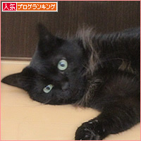大阪の温度を猫が計る_a0389088_15025676.jpg