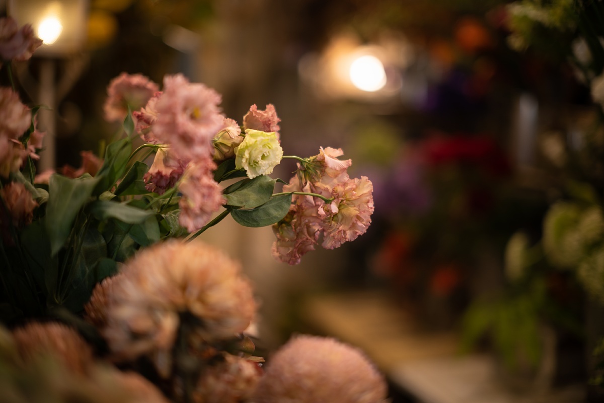 滅び逝く古きものを慈しむ花屋さん_d0353489_20325225.jpg