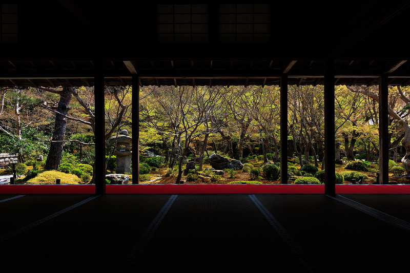 2022桜咲く京都　圓光寺のしだれ桜_f0155048_21284636.jpg