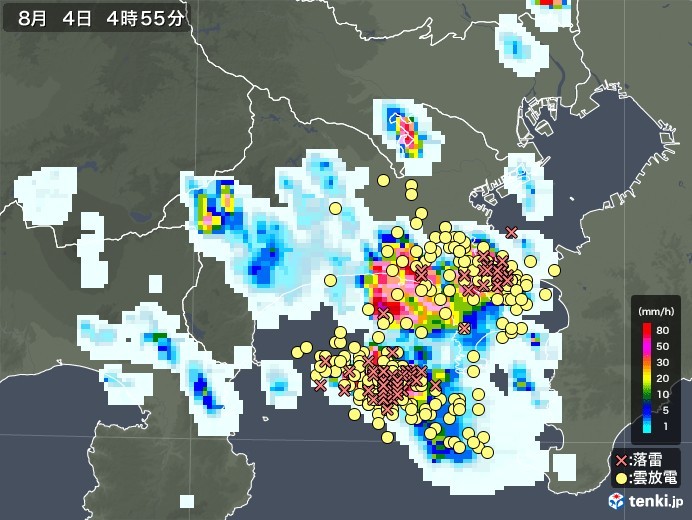 【夜中の雷雨と山形の特別警報】_b0009849_06413025.jpeg