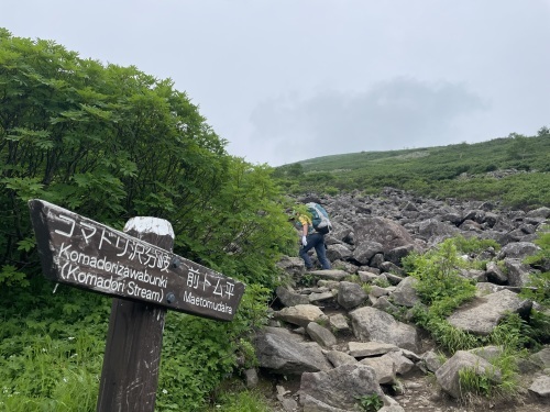 テントをこよなく愛するスタッフのUL計画~トムラウシ山でテント泊~_d0198793_15012399.jpg