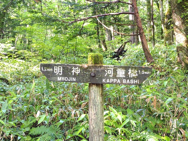 上高地(3日目)Kamikochi a Nagano (3eme jour)_d0401997_18134923.jpg