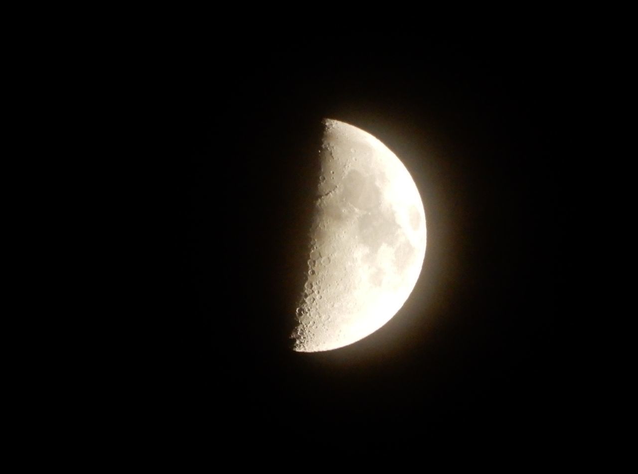 月は半月、芸術の秋_c0025115_21571554.jpg