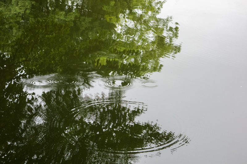 雨の後_d0392450_06020398.jpg