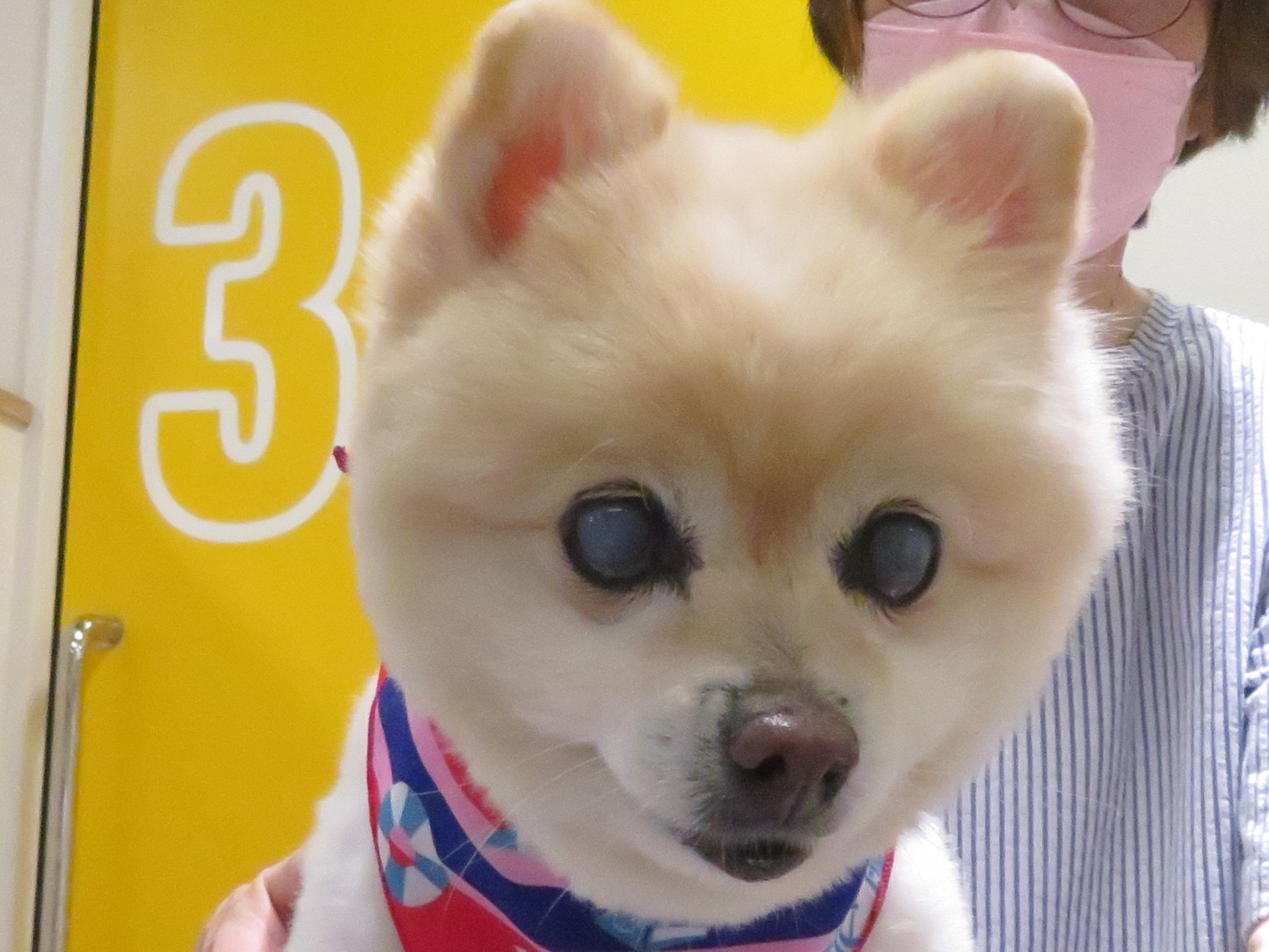8 月 6 日の写真_c0174644_17404742.jpg