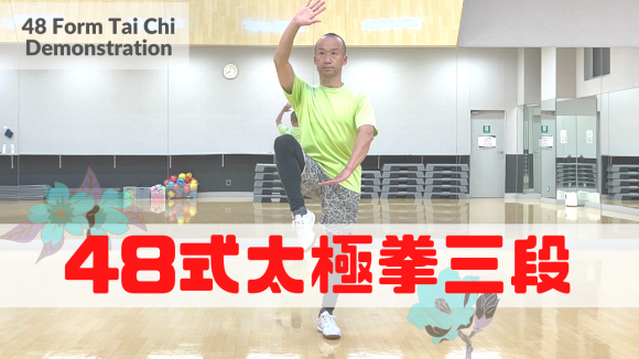 48式太極拳【三段】48 Form Tai Chi Demonstration_a0039748_18000701.png