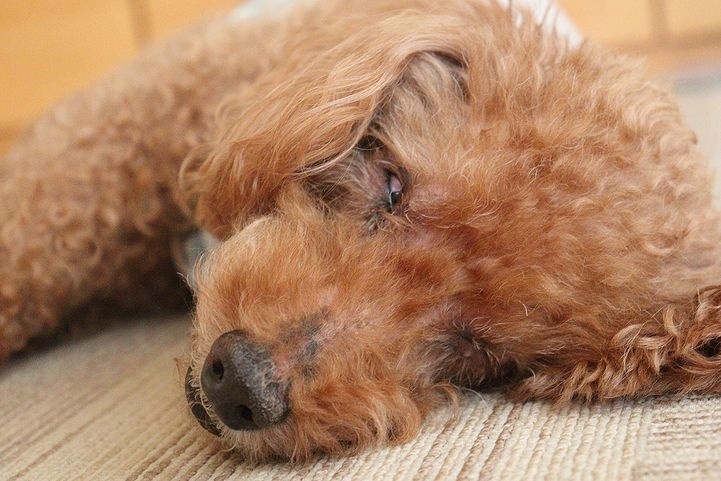 珍しい２連発 うちにかえろう