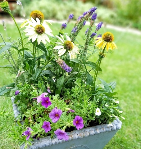 ◆夏の寄せ植えを作りました！ - Soleilの庭あそび・・・布あそび♪