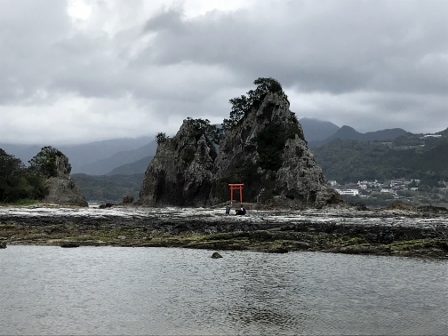 那智山一筆蛇 那智山一筆蛇 玄武三角一輪挿し（小） | artrip山口