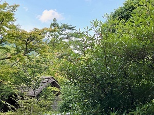 盆休み_b0334271_15070348.jpg
