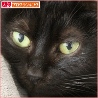 枕を使う猫_a0389088_12144641.jpg
