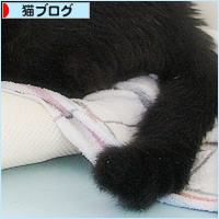 枕は、本当はこう使う!_a0389088_12243134.jpg