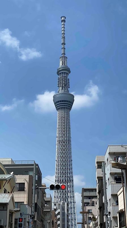 下町のかわいいおやつ ~デザートラボ~_a0169902_07042917.jpg