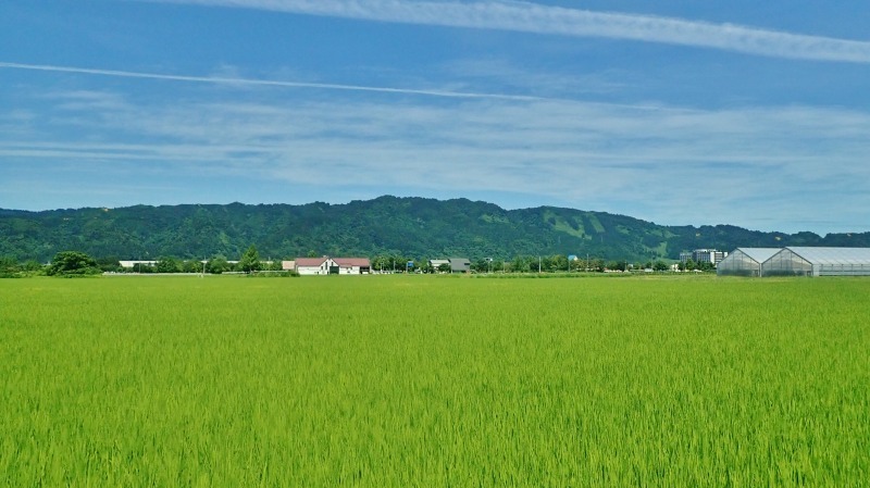 8月1日は「配送日」でした_c0336902_21585825.jpg