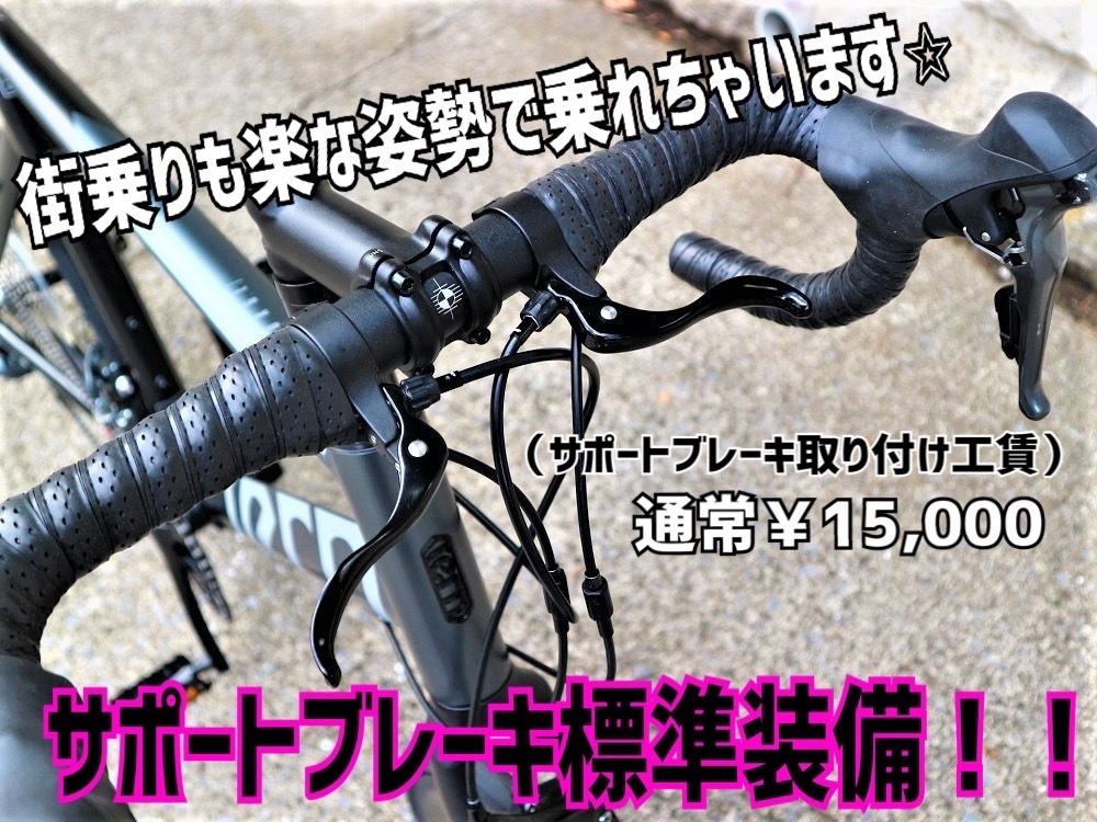 tern SURGE FLAME bike限定 第4弾　_e0188759_12334646.jpeg