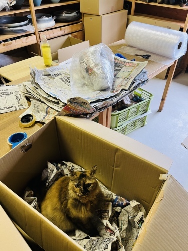応援のお願いと発送と削り_d0195183_03201954.jpeg
