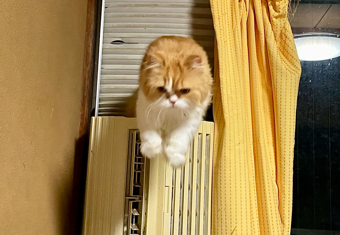 補強すべきか システム変えるべきか このままか 熱烈的アルビレックス Next Stage