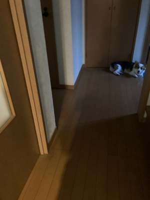 あてつけ