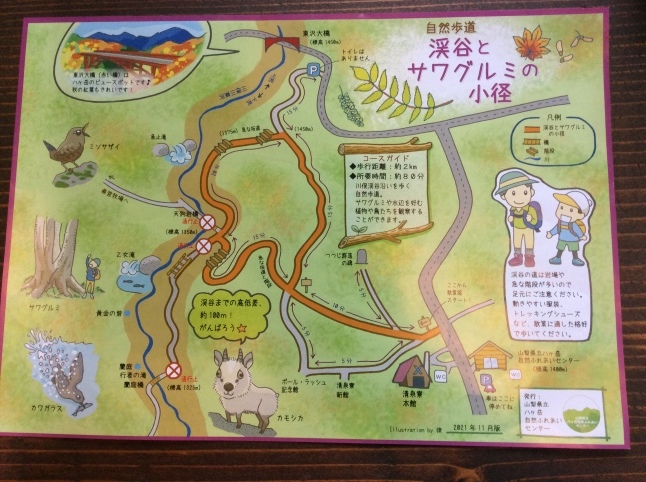 八ヶ岳さんぽ【川俣渓谷】3 渓谷とサワグルミの小径_d0348118_16152549.jpeg