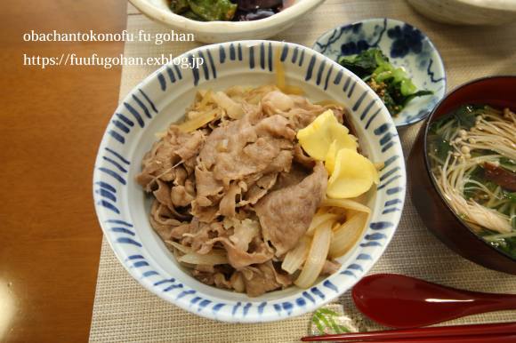 近江牛丼御膳＆琵琶湖朝散歩_c0326245_08374870.jpg