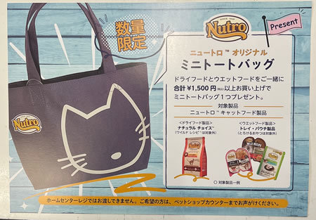 トートバッグというよりは_e0362456_13360238.jpg