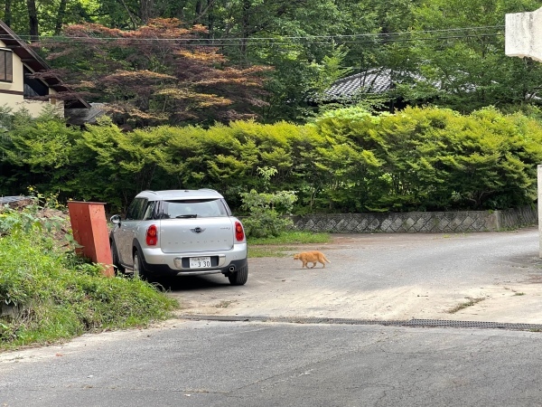 高根町M田さん邸の現場より 2_a0211886_00313339.jpg